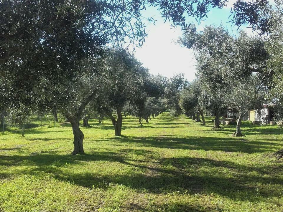 Agriturismo Sa Ruda 까브라스 외부 사진